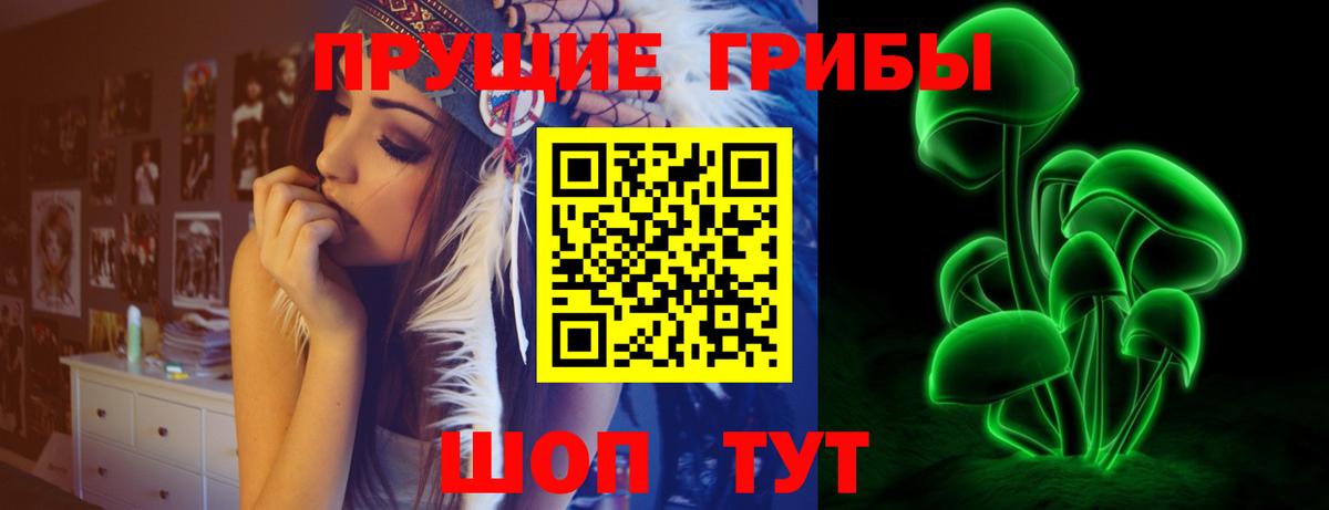 Псилоцибиновые грибы Psilocybe Баксан